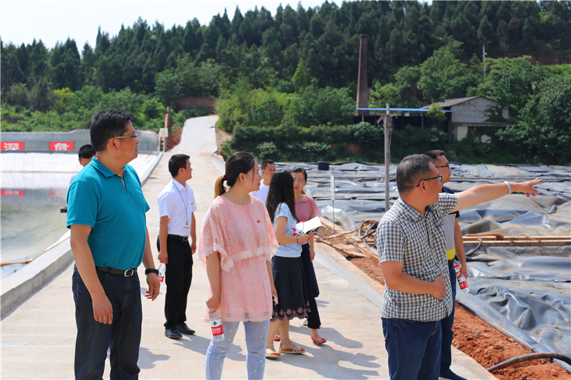 集團(tuán)第一檢查組檢查杰陽排水公司、固廢處置公司安全防汛和環(huán)保達(dá)標(biāo)各項(xiàng)工作3_副本